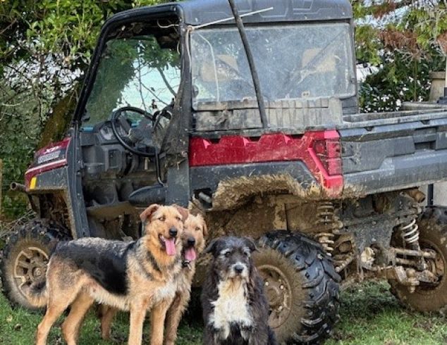 Farm Tour